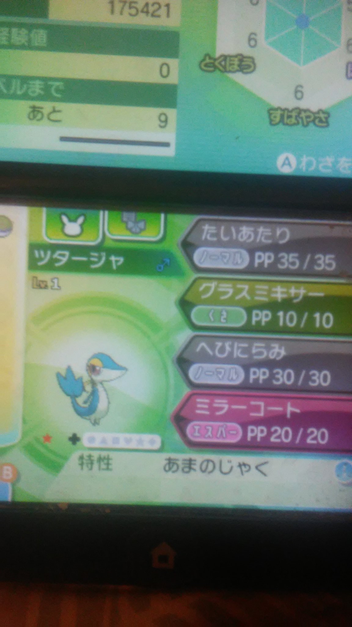 リナ A Twitter すっごく欲しかった色違いのツタージャ を卵を105個目で 無事に孵化出来た 今回の国際孵化を使ったポケモンはうちのジャノビー と国際産のジャノビー を使って産まれた ポケモンウルトラサンムーン 色違いポケモン 国際孵化 T