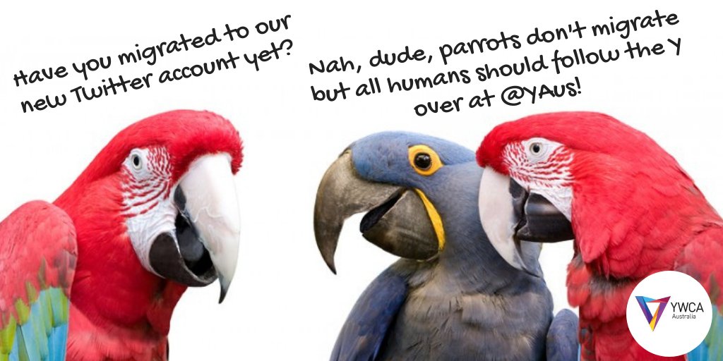 Join us on our new profile <a href="/YWCAAus/">YWCA Australia</a> and stay up to date with all the goings on of the Y! See you there! 😎
#ywcaaus #ywcansw #genderequality #women