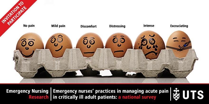 AcademicNation's tweet photo. Are you an ED nurse working in #Australia with a few minutes to spare (😂) to participate in a short survey on managing acute pain in critically ill patients? If so, hit up https://t.co/2TxMXc6DDC. #research #nurses #ED #pain #RT @UTAS_ @USydFHS @ACCCNAUST @acemonline @acn_tweet https://t.co/lgOsIg1IfL