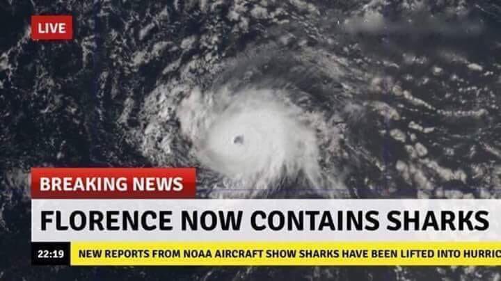 GreenIncPromos's tweet photo. Hey #FinShepard (@IanZiering) ... not a #tornado, but this is basically what you’ve been training for. @SharknadoSYFY #Sharknado #sharks #WeNeedFin https://t.co/TFMsaXeyjA