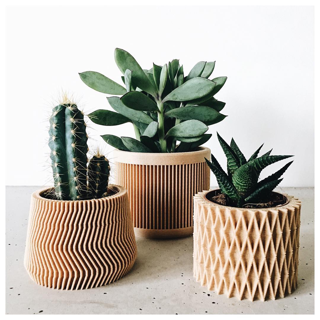 FYI: These are made of 3D-printed wood. 🌵 etsy.me/2CLxgHX