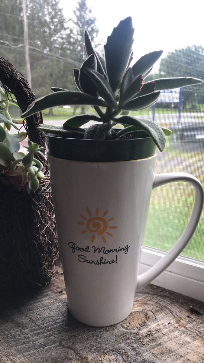 fireside_oneida's tweet image. 