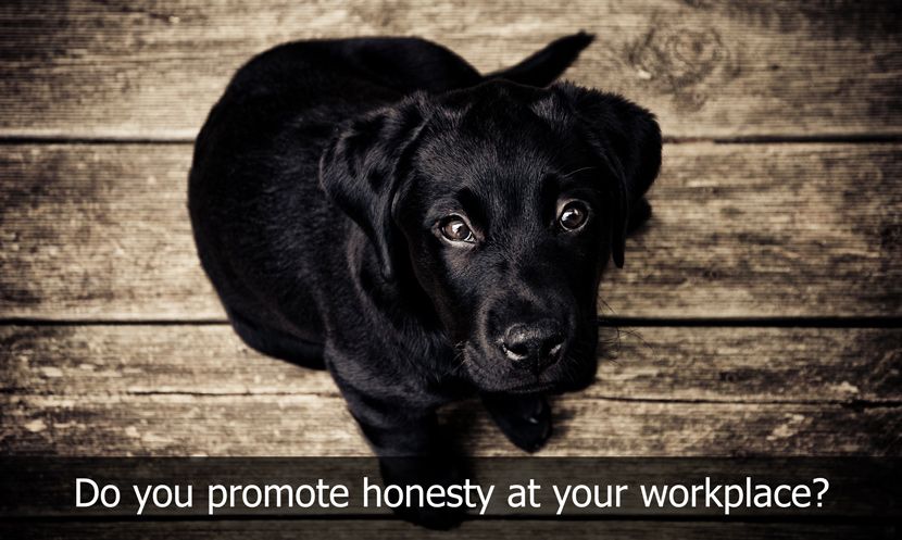 talentmgmt360's tweet photo. Three companies in particular that have high ratings when it comes to promoting honesty in the workplace. https://t.co/54vQUUAwqq #talentmanagement #EmployeeEngagement #workplacehonesty https://t.co/uVmfN2yilX