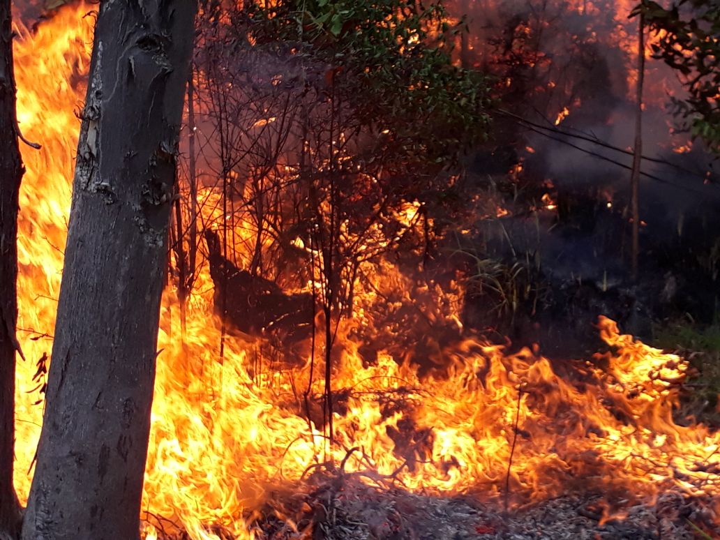 Incendio activo en la Parroquia de San Pablo de Tenta, Mater personal de Bomberos Saraguro 🚒 se retira para continuar trabajo por la dificultad de la topografía del lugar. #YoAmoMisBosques #YoCuidoLosBosques @ECU911Loja