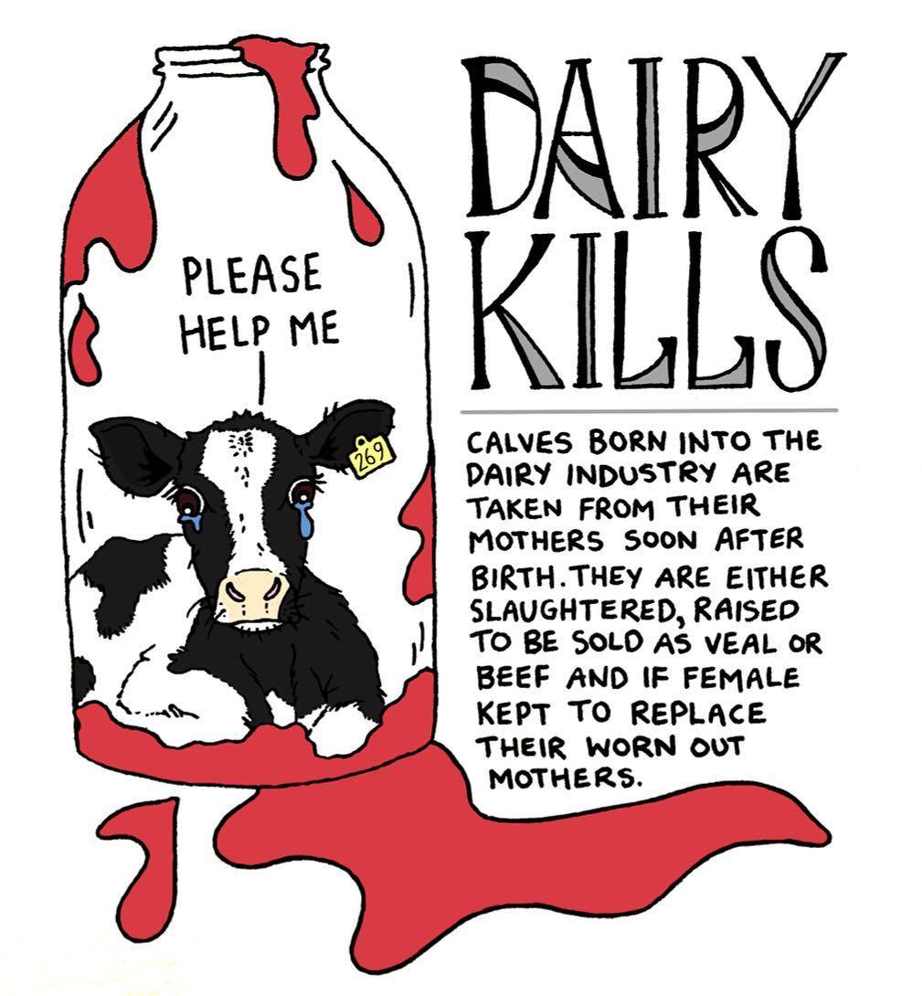 Uzivatel Peta Na Twitteru A Cow S Natural Lifespan Is About 20 Years But Cows Used By The Dairy Industry Are Typically Killed After About Five Years Because Their Bodies Wear Out From