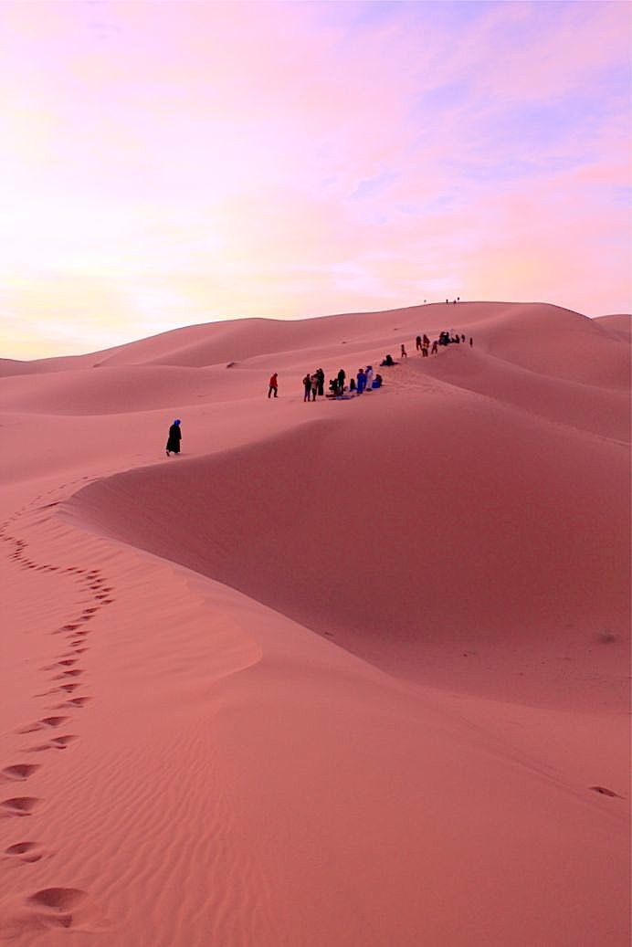生存者 砂漠迷彩としてのピンク色 ホントに効果あるのかなと思ってたけど 砂漠ってホントにピンク色になるんですよね 特に夜明け