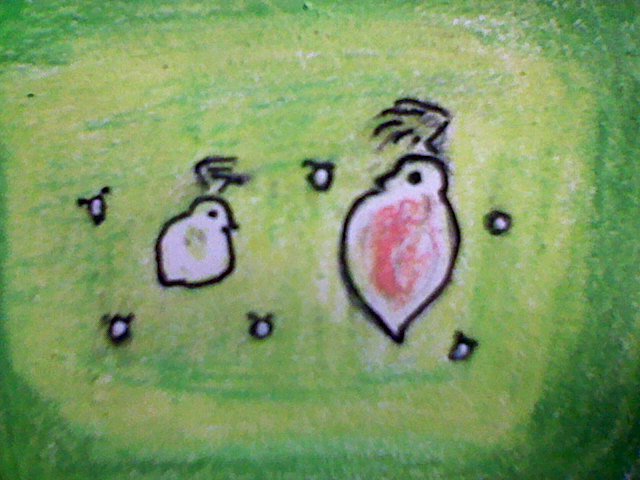 ふくいりえ ミジンコかわいい ピコピコ泳いでる ミジンコが増えすぎて全滅しないためのメダカ になりつつある ケンミジンコが発生するとタマミジンコ食べられちゃうの 私が好きなのは丸々したタマミジンコ タマミジンコ単離して純粋培養しようかな