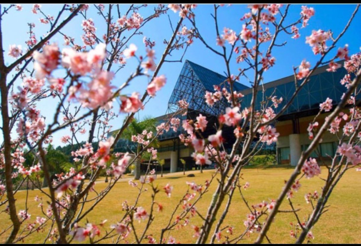 EderTeles10's tweet photo. Centro cultural dr. daisaku ikeda #cccamp #gakai #budismo #nitirendaishonin https://t.co/dnfrKhfigK