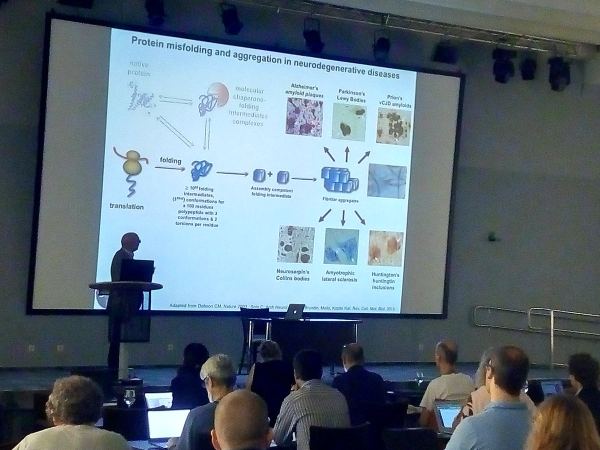 cost_ngpnet's tweet photo. IV NGPnet symposium starts with Ronald Melki's talk about prion-like propagation of alpha-synuclein protein assemblies in Parkinson’s disease  #NGPnet #COSTactions #Druskininkai https://t.co/PZIpYrZZj9