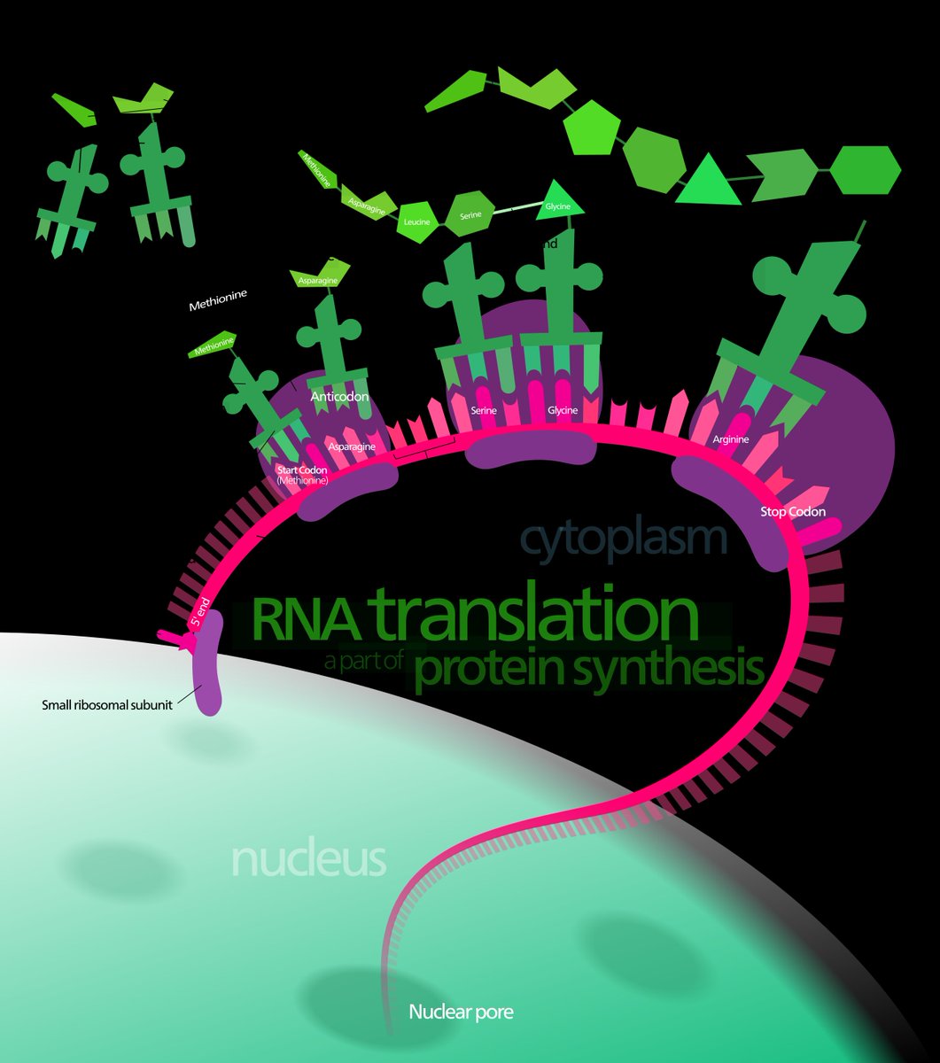 JTranslRes's tweet photo. #RNA translation #translational Research
#callforpaper #publishing #manuscript 
https://t.co/2im4bxGGWQ https://t.co/hOHtyd4Yji