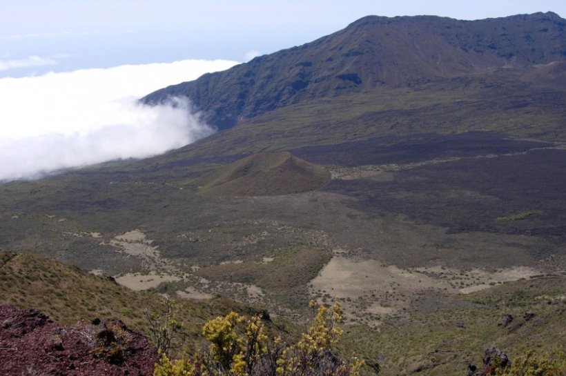 CampingSmith's tweet photo. [36 Best Places to Camp in the U.S.] Haleakala National Park, Hawaii
#campingsmith #camping #adventure #adventuretravel #backpacking #camp #travel #traveler #tentview #outdoor #campingsite
#HaleakalaNationalPark #Hawaii https://t.co/8FdFkWAHvj