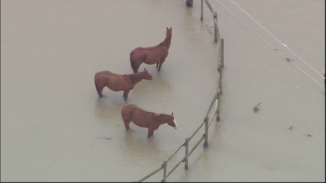 Weary of floods, a small Skagit Valley town eyes higher ground buff.ly/2x6hF0e