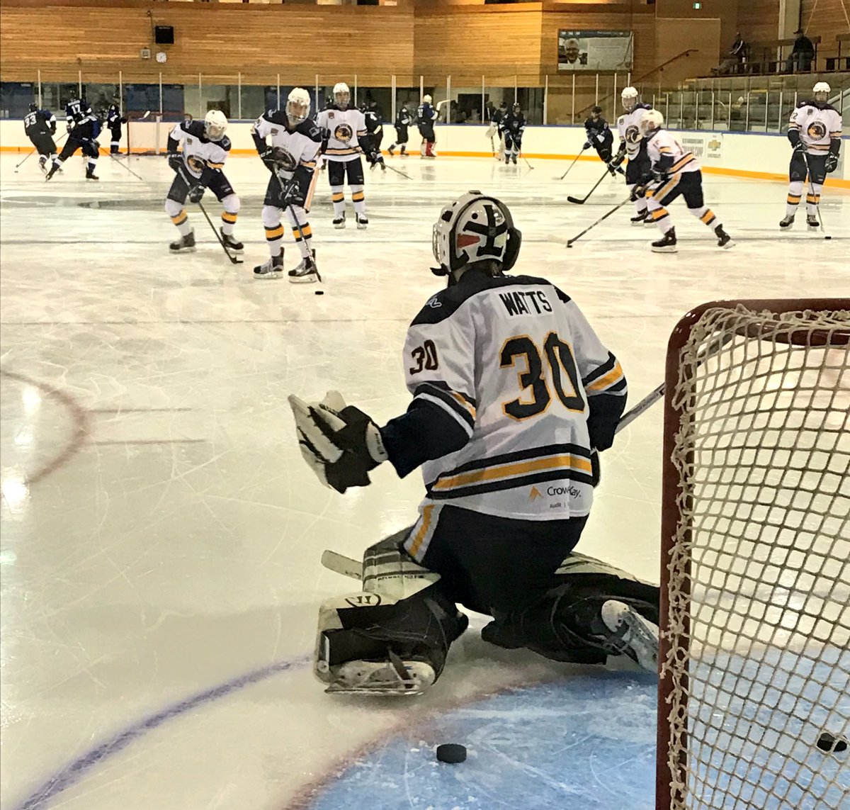 Taylor Dergousoff tweet media