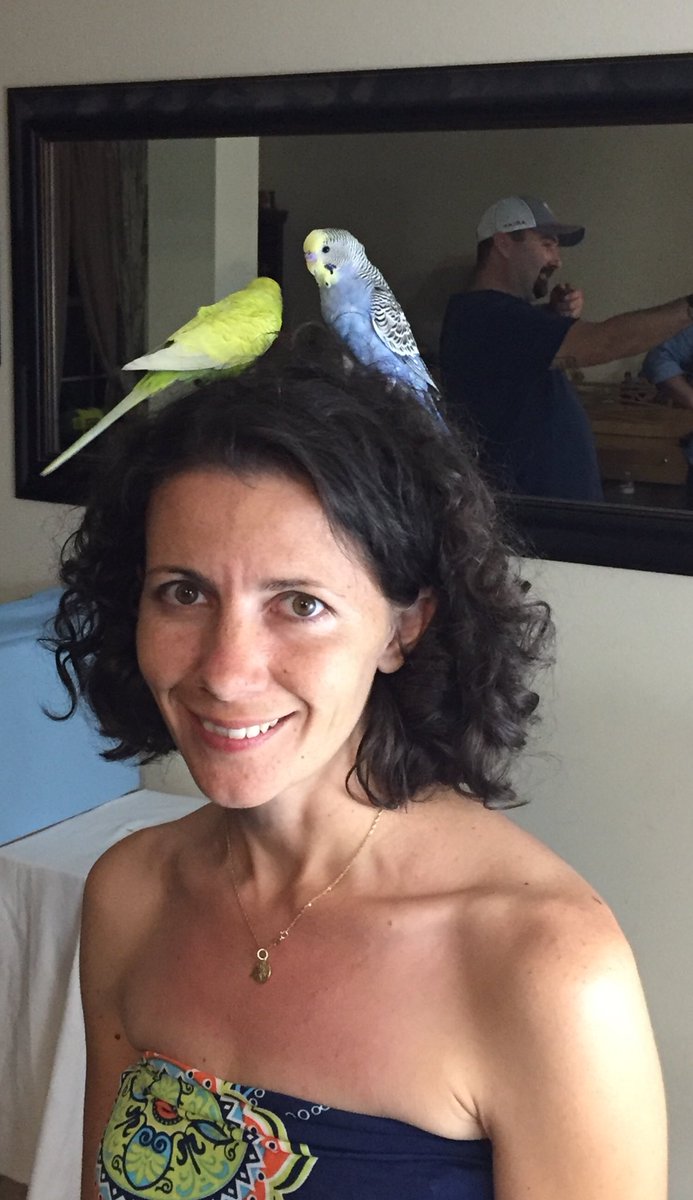 LParakeets tweet picture