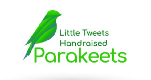 LParakeets tweet picture
