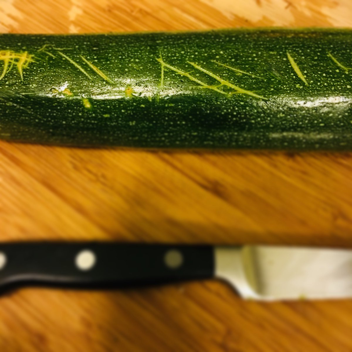 zooder49's tweet image. Zucchini...The dolphin of vegetables?
#scratchmarks