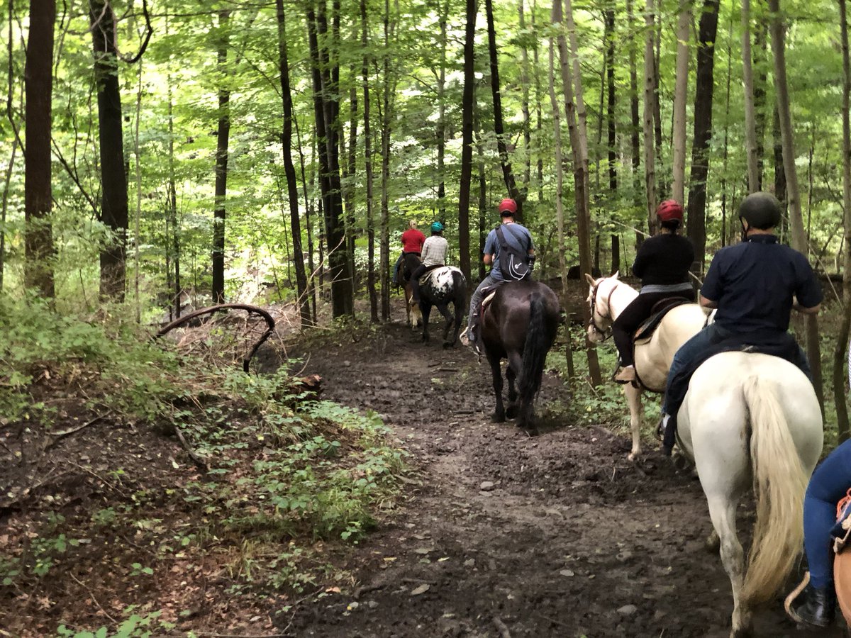 Painted Bar Stables tweet media