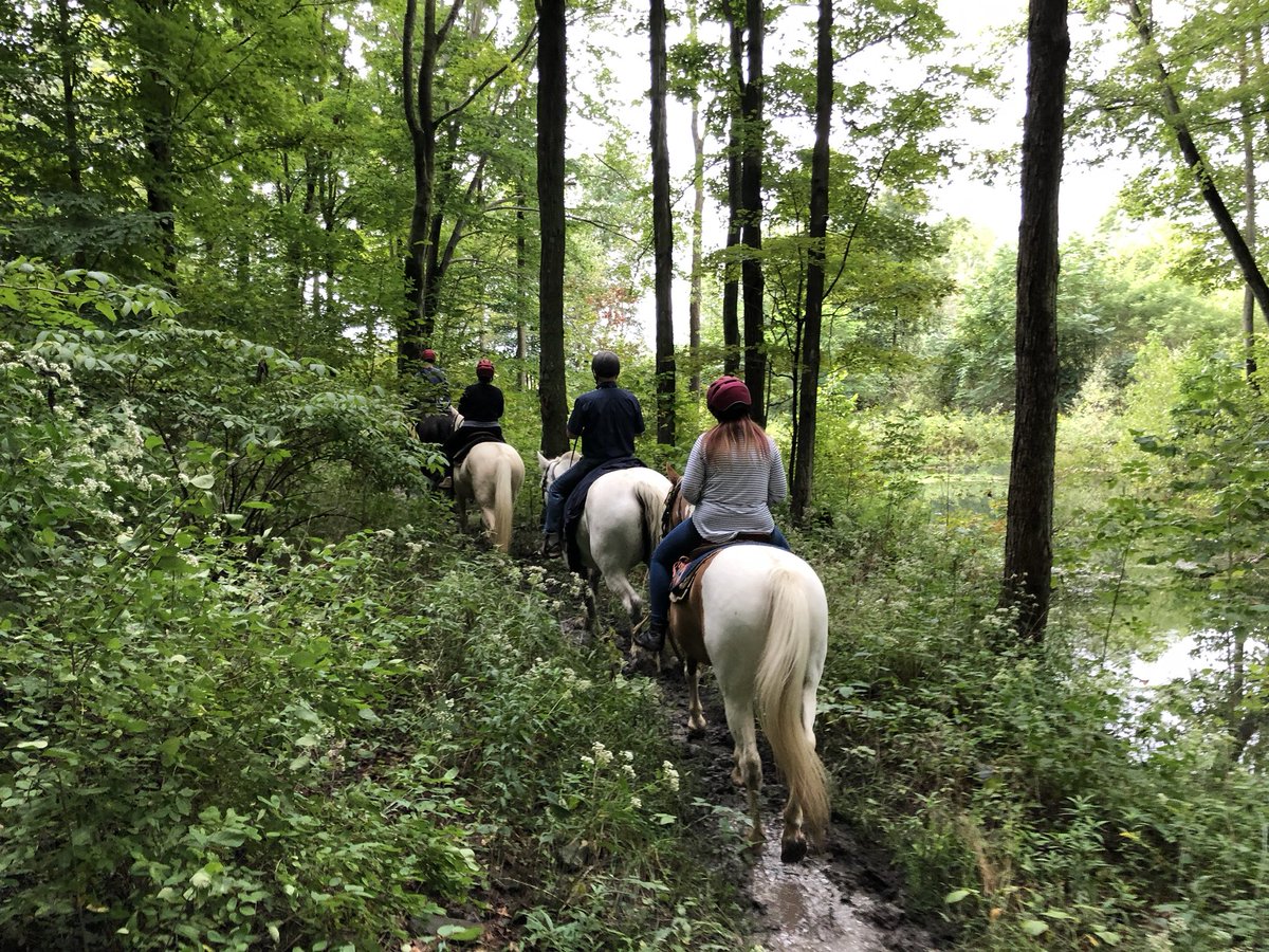 Painted Bar Stables tweet media