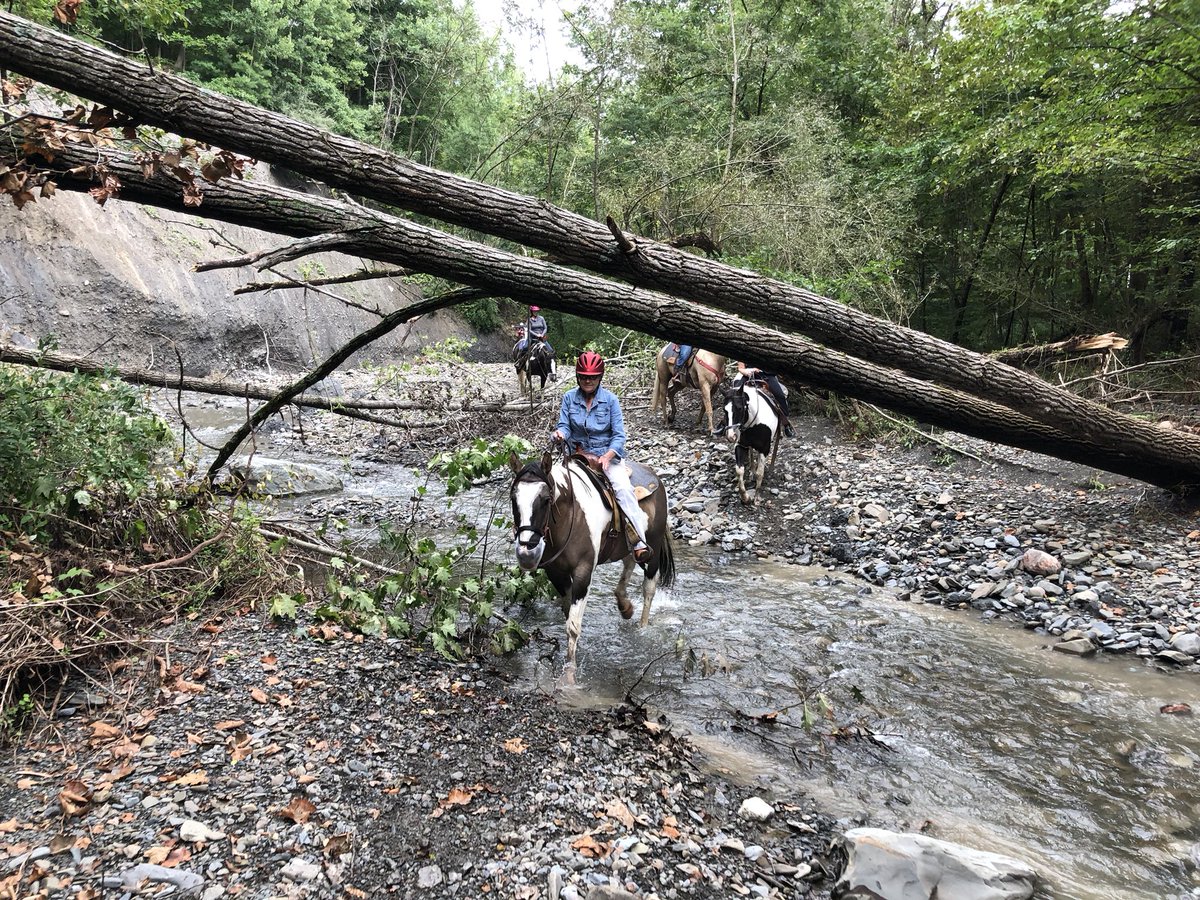 Painted Bar Stables tweet media