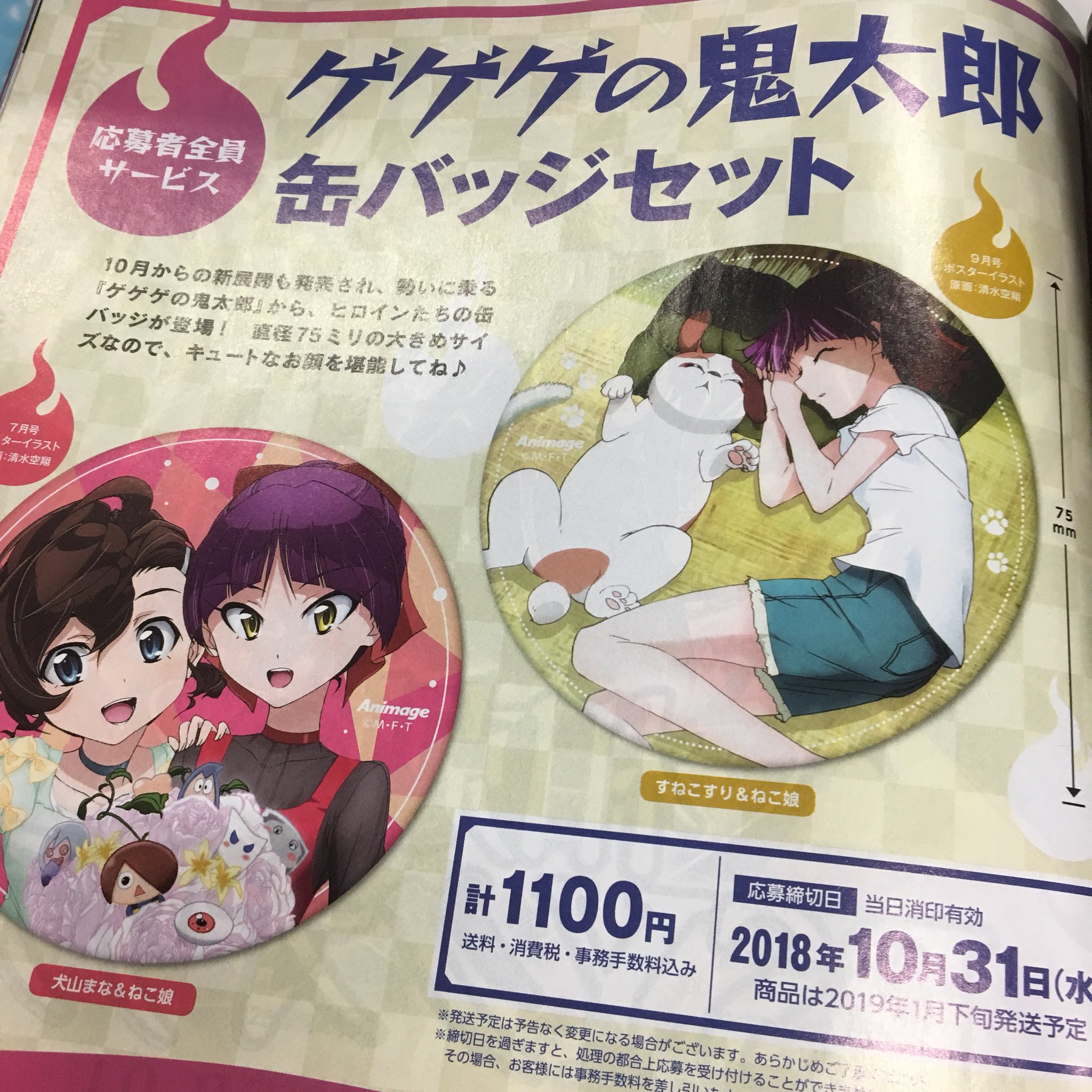 ネコ娘 特大缶バッジ 非売品 抽プレ ゲゲゲの鬼太郎 アニメ「ゲゲゲの鬼太郎」＆「鬼太郎誕生 ゲゲゲの謎」公式 on X