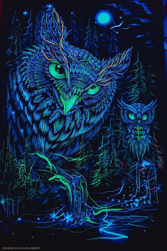 🐘🐲🐾Rachel🦉🦇🐺 (@rchlstt35) on Twitter photo 