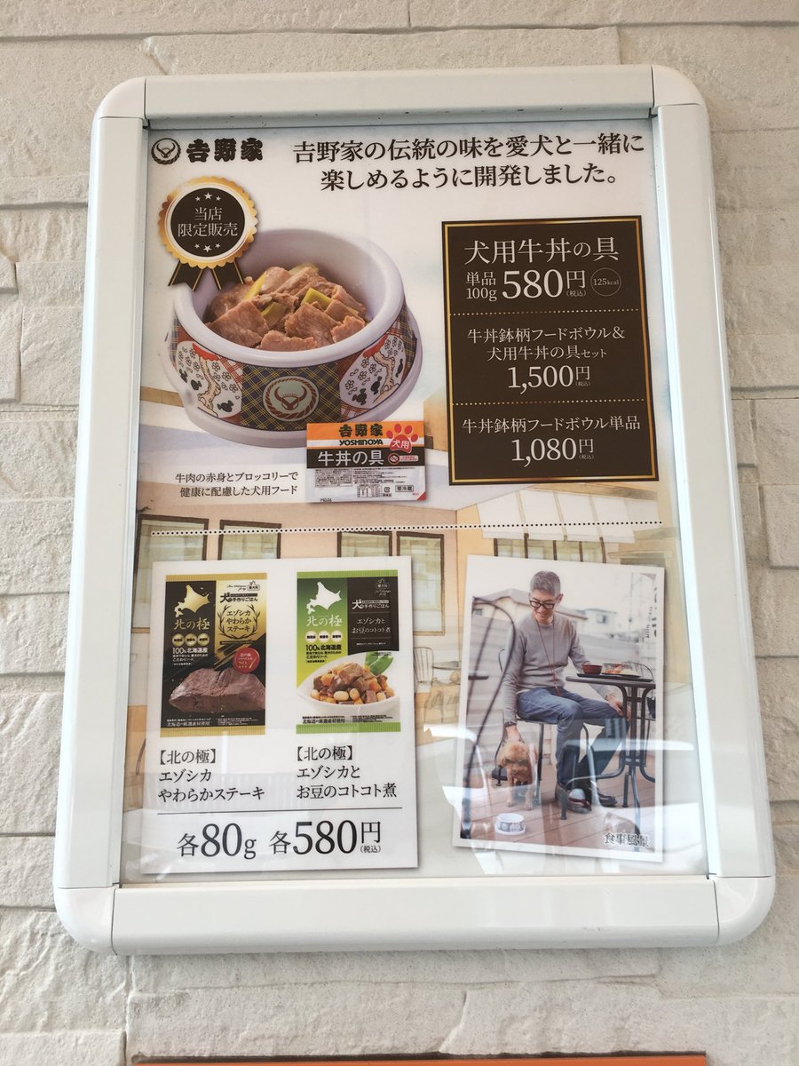 引出物 新品 吉野家 限定販売 犬猫ペット用 フードボウル② champs21.com