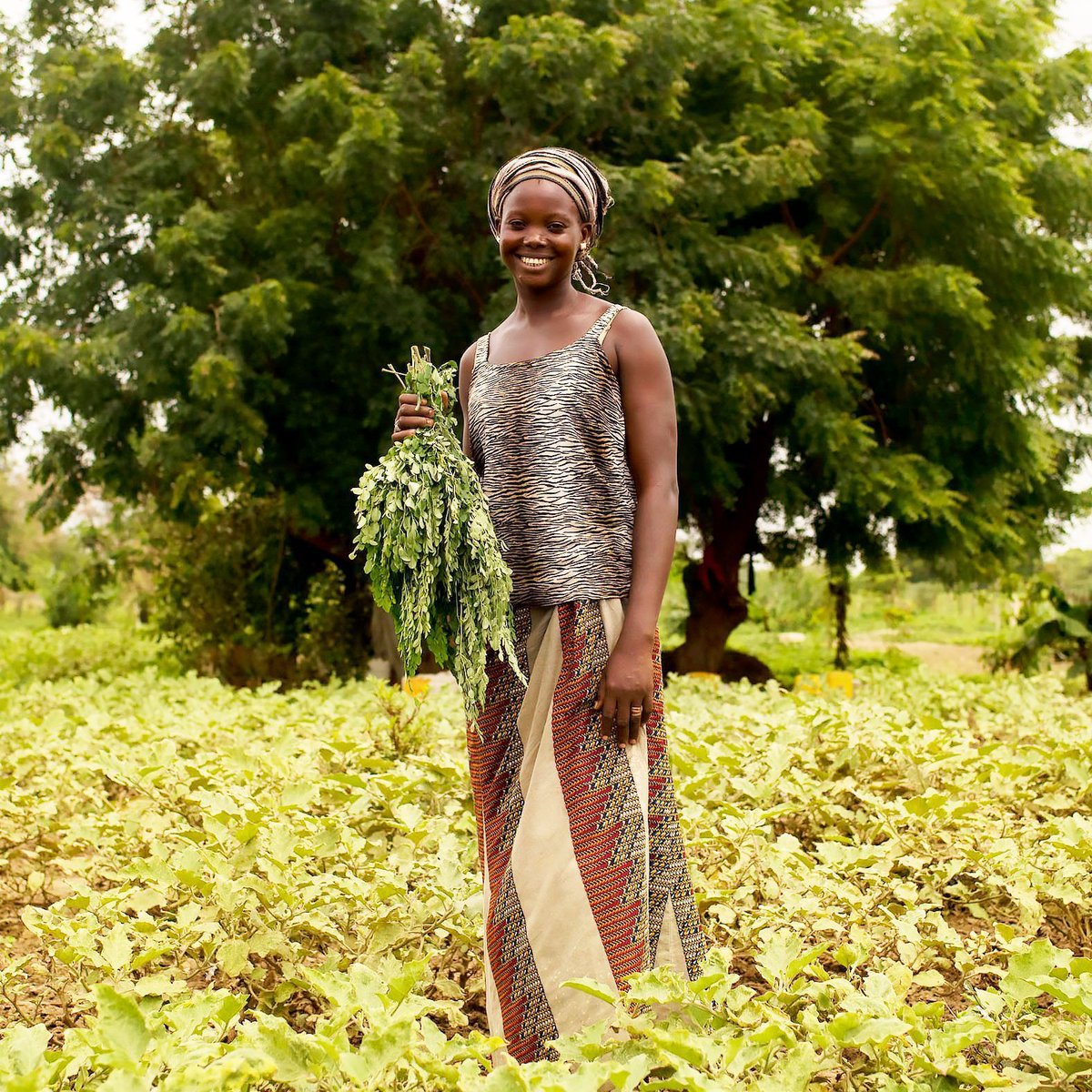 Youth are the next generation of farmers. We need to provide them with the opportunities, tools and training they need to succeed in agriculture. 

By empowering #youth, we can achieve #ZeroHunger. #FutureofFood