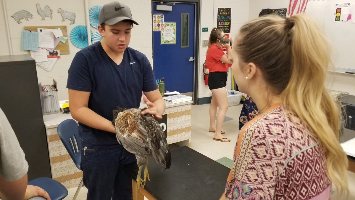 Highland FFA tweet media