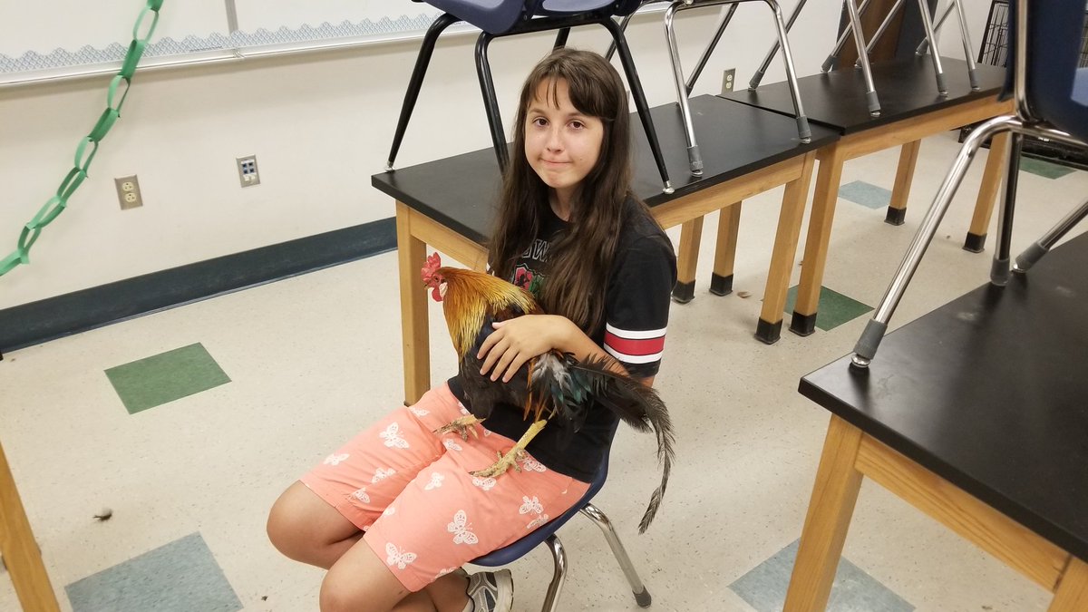 Highland FFA tweet media