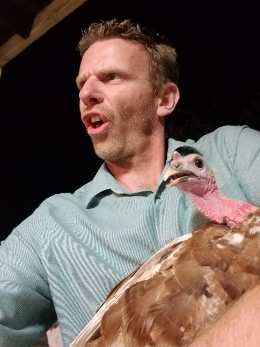 Highland FFA tweet media