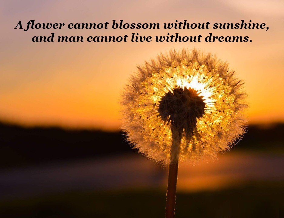 themes_21's tweet photo. A #Flower cannot #Blossom without #Sunshine, and man Cannot live without #dreams. https://t.co/ToiLyED1Bq
#webtrafic #WordPress #themes #designer #webdesign #marketing #socialmediamarketing #digitalmarketing #networkmarketing #onlinemarketing #creativity #WednesdayWisdom #Sunrise https://t.co/zZb4mEHyWf