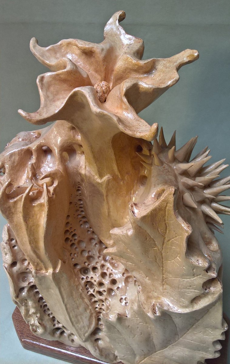 crazywoodworm85's tweet photo. DATURA, basswood, artist Marco Bianchini
SHOP https://t.co/bjdKm6F5Ap

#wood #woodcarving #carving #woodworking #datura #stramonium #sculptures #woodsculpture #handmade #handcrafted #basswood #legno #artexhibition #arte #scultura #biomorphic #bois #art #sculpture #datura #arte https://t.co/wWtInw5aC3