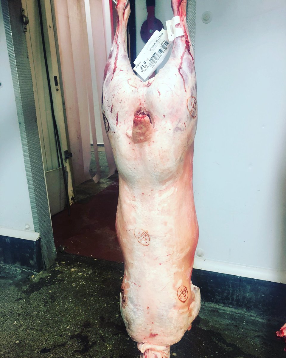 Lovely Scotch Lamb chosen for @TheGannetGla for delivery today #scotchlamb #grassfed #locallysourced #glasgow #glasgowrestaurant