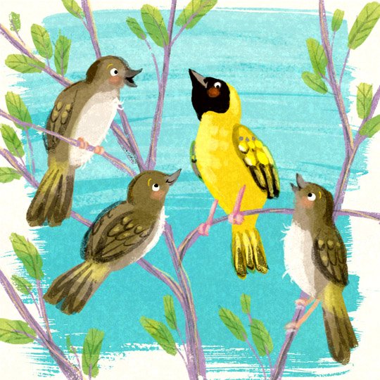 chantelleburgen's tweet photo. The girls just love Mr Masked Weaver's snazzy yellow spring outfit!
#30daysofSpring #day12 #JohnVernonLord #DrawingaDay @illustrationhq #gardenbirds #kidlitart https://t.co/opDdyPrBaM