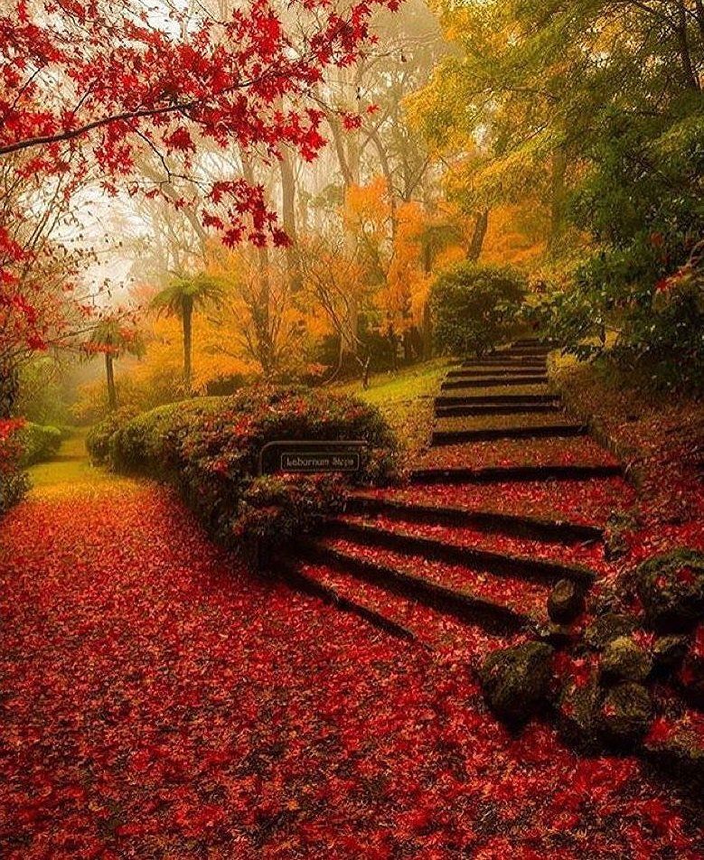 PoweSheryl's tweet photo. Breenhold Gardens, Australia.
#nature #amazing #landscapephotography  #beautifuldestinations #Gorgeous #pictures #photography #capturemomentsperfectly #WOW #lovetotravel #travelphotography #sightseeing #tourism #amazingnature #WonderfulLife https://t.co/hRxU3rS4j3