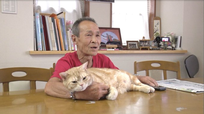 生き物にサンキューさん がハッシュタグ ネコ をつけたツイート一覧 1 Whotwi グラフィカルtwitter分析