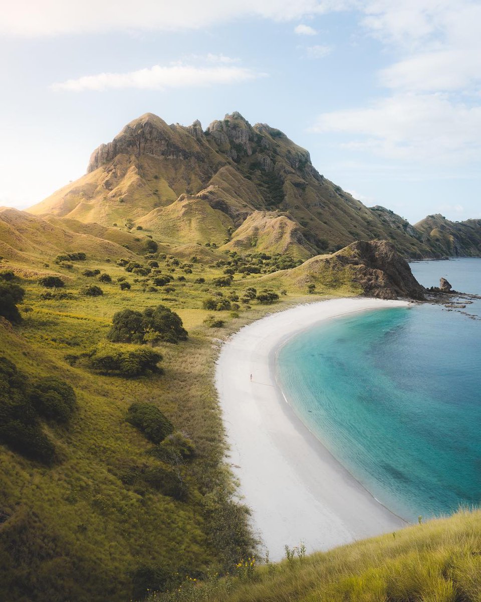 bspiller22's tweet photo. Komodo National Park, Indonesia
#nature #amazing #landscapephotography  #beautifuldestinations #Gorgeous #pictures #photography #capturemomentsperfectly #WOW #lovetotravel #travelphotography #sightseeing #tourism #amazingnature #WonderfulLife https://t.co/OI7CHhGH9m