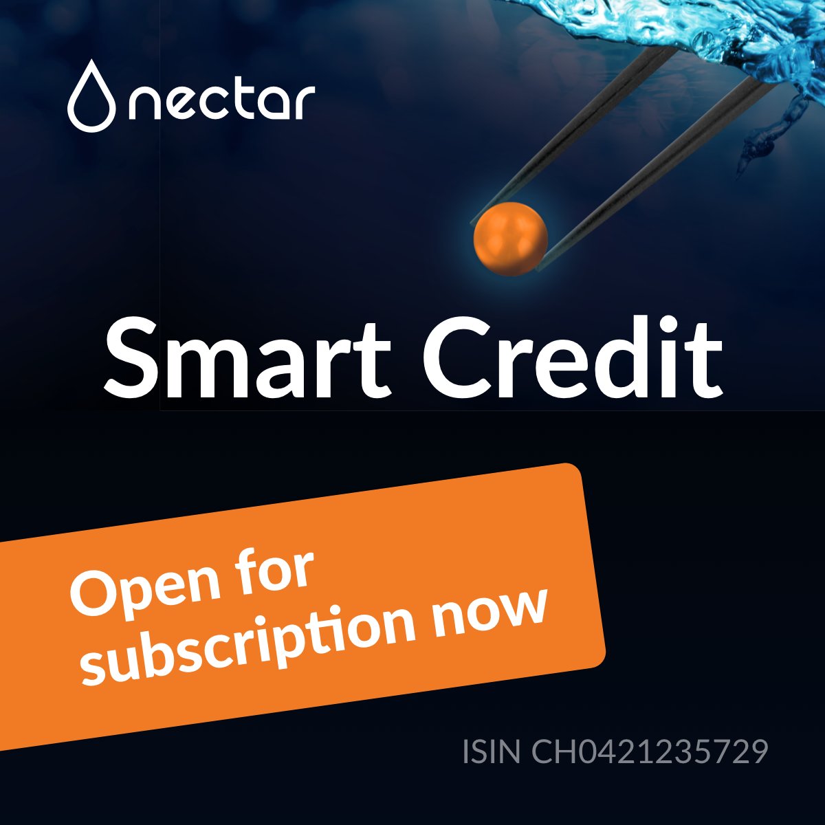 finews.ch/news/finanzpla…

#ArtificialIntelligence #MachineLearning #credit #diversification <a href="/nectarfinancial/">Nectar</a>