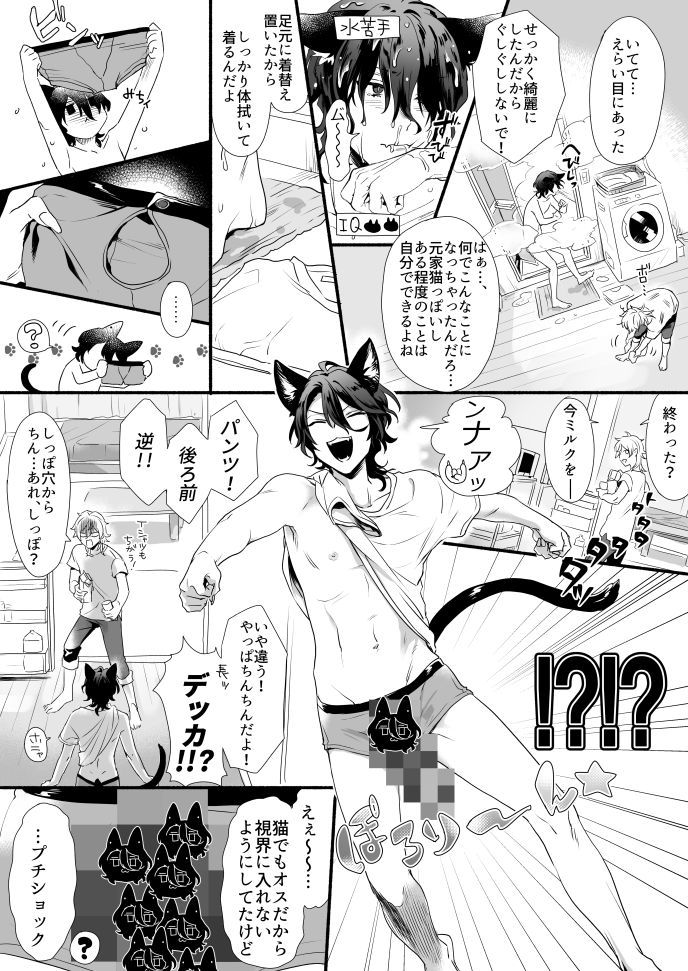 【お題箱】
>こんにちは!ふと流れてきたツイートで見かけたのですが、尻尾… https://t.co/wQv8luyIxp
そんなぱんつが!キュートな零ではありませんが一度どんなのか拝見したいですね!薫が保健所に連れてかれそうな野良猫零を引き取った設定です(朔間零は別にいます)お題ありがとうございました👏