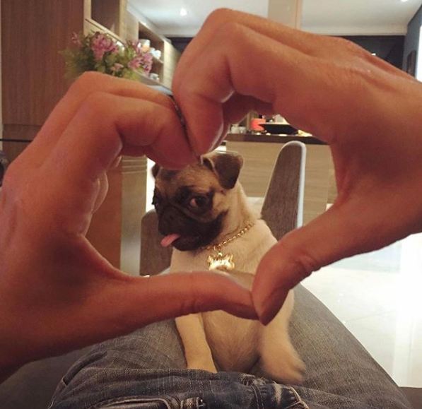 DogZoneofficial's tweet photo. You love pug! And I know it!
.
follow for more @dogzoneofficial
.
#pug #puglife #pugs #speakpug #pugbasement #puglove #pugsnotdrugs #pugnation #pugoftheday #pugsrequest #pugworld #puglovers #puglover #pugmania #puggy #pugsnkisses #pugface #pugdog #pugaday #pugsrule #dogs https://t.co/OVomYxzc3Z