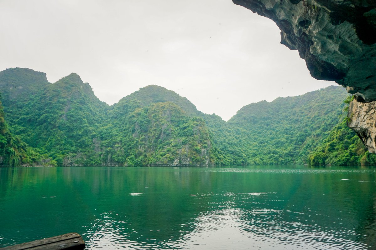 Kayaking with Mon Chéri to discover how discover majestic Ha Long Bay is.
#monchericruise #moncheri #cruiseship #vietnam #cruise #cruising #cruiselife #cruiser #cruises #cruisetime #cruiseship #instacruise #tonkin #funship #vacation #bambooboat #adventure #travel #wanderluster