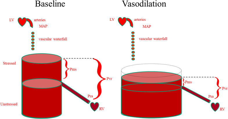 We should avoid the term “fluid overload”
#FOAMed
bit.ly/2x6mR4d