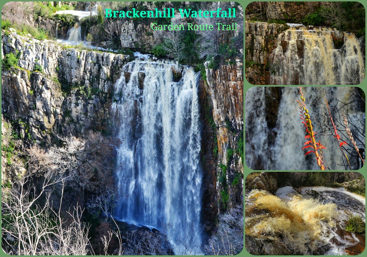 CoastalWalk's tweet photo. Off the beaten track in the #GardenRoute. #Brackenhill #Waterfall #TourismMonth #SpiritofKnysna #SouthAfrica #Sedgefieldza #PhotoSafari #ShutterWalk #MDguiding #travel https://t.co/L8LNHNktT0 https://t.co/Mr406aiPFf