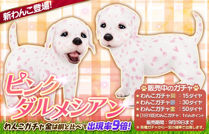 新しいわんこ「ﾋﾟﾝｸﾀﾞﾙﾒｼｱﾝ」が登場ぶる♪とってもめずらしいピンクの模様は、よ～く見るとハート模様が混じってるぶるよ～♪
sp.age-corp.jp/tw/news/detail… #てのワン #犬