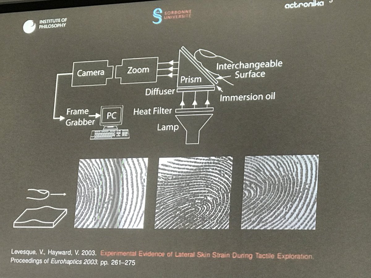 SPECS_lab's tweet photo. #BCBT2018 Vincent Hayward explains how tactual information is sent and processed by the brain. @IBECBarcelona @CSN_eu @HBP_Education https://t.co/yKL4z3vSM4