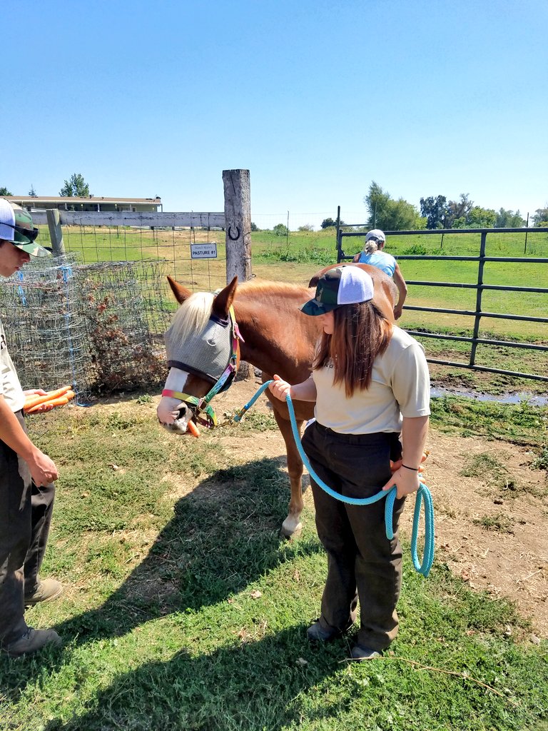 rvrangers's tweet photo. Proud to be working again this year with Handi-Riders. Handi-Riders has provided equine-assisted activities and therapies to children and adults with disabilities since 1981. They have added a Heros Service program for veterans of the US Armed Forces. #rvhswolverine #pusdk12 https://t.co/neXWGcIoDT