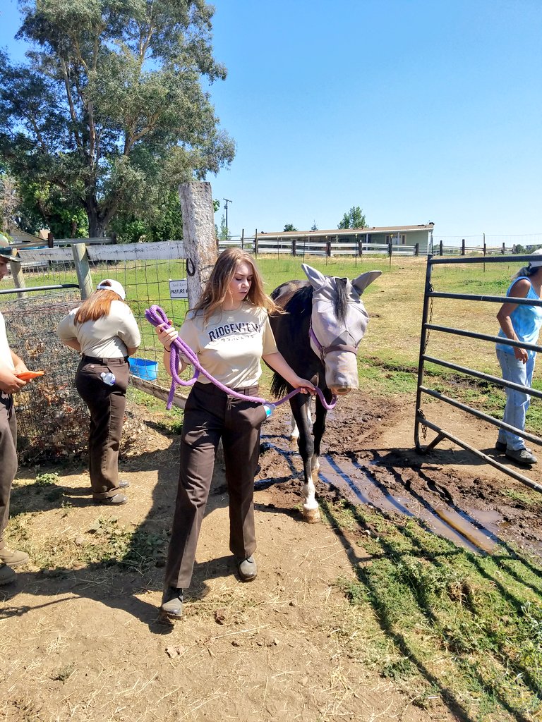 rvrangers's tweet photo. Proud to be working again this year with Handi-Riders. Handi-Riders has provided equine-assisted activities and therapies to children and adults with disabilities since 1981. They have added a Heros Service program for veterans of the US Armed Forces. #rvhswolverine #pusdk12 https://t.co/neXWGcIoDT