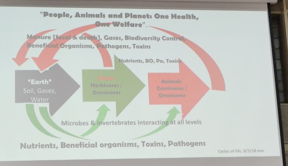 AfricaMediaset's tweet photo. If you ever doubt the relationship between #PeopleAnimalsPlanet just look at this picture. and as the good professor Lumumba said "Without Animals we as humans are incomplete". Excerpts from #AAWConference2018 #OneHealth #Onewelfare @anaw_africa https://t.co/fVHbgin4Po