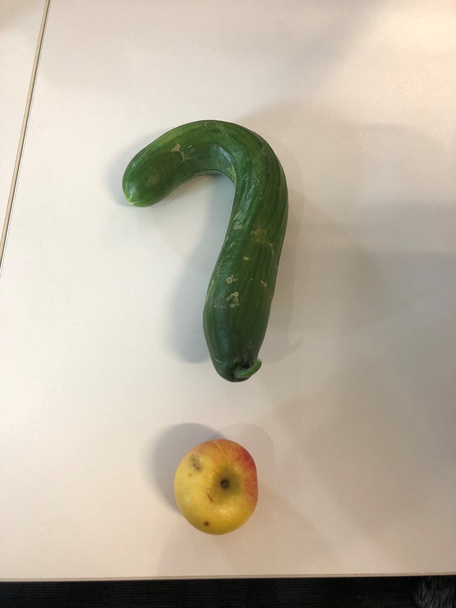 BetterHealth_NS's tweet photo. ….it’s wonky but it doesn’t matter!
One of our clients has shared the results of their own veg growing efforts…very
impressive and healthy too! https://t.co/7zVgwKmti3