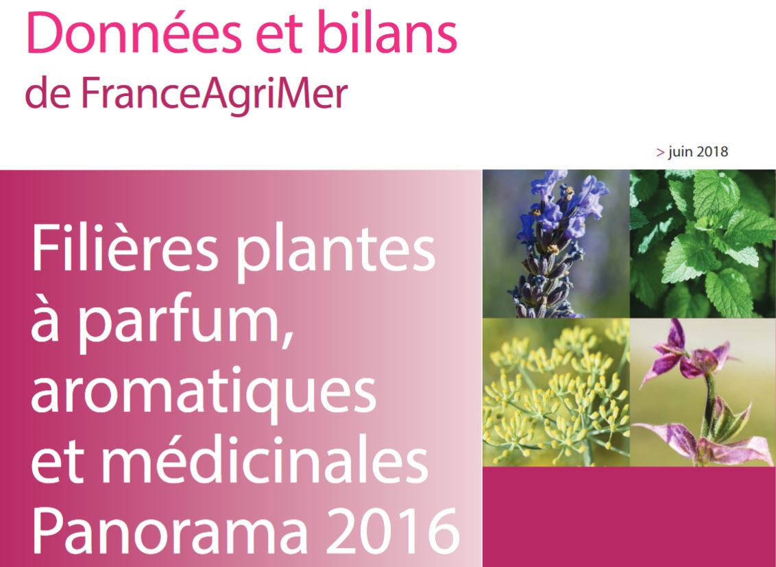 FranceAgriMerFR's tweet photo. Retrouvez les données et bilans de #FranceAgriMerFR pour les  #plantes à #parfum,  #aromatiques et #médicinales - Panorama 2016 https://t.co/TCe5xTKrCZ https://t.co/ld1LSLndT5